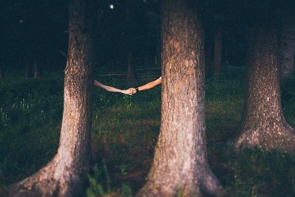 Разум самовосстанавливается, занимается излечением души Разум самовосстанавливается, занимается излечением души