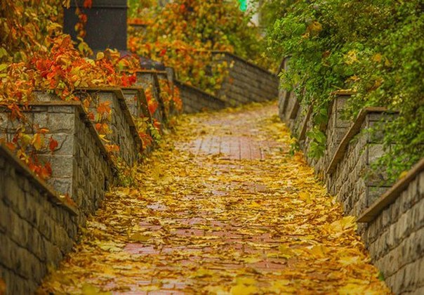 Топ-7 мест для лучших осенних фотосессий Топ-7 мест для лучших осенних фотосессий