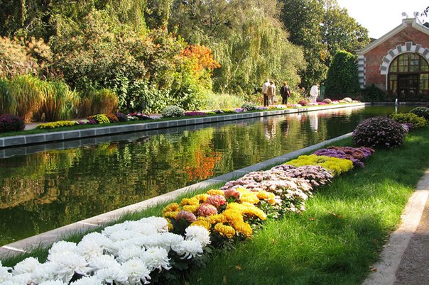 Самые красивые места в Москве, где можно любоваться цветами Самые красивые места в Москве, где можно любоваться цветами