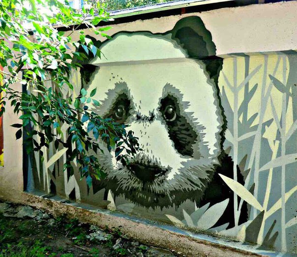 «Не будь расистом, будь, как панда: она черная, белая и при этом азиат». Привет от панды из Московского Зоопарка! «Не будь расистом, будь, как панда: она черная, белая и при этом азиат». Привет от панды из Московского Зоопарка!